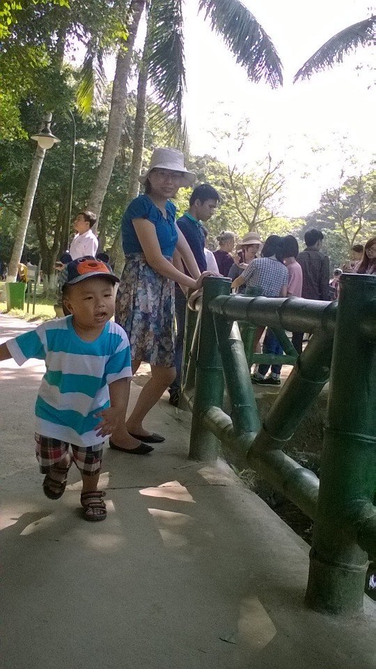 Nui 4Y 40
